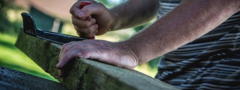 Деревообработка, Дерево