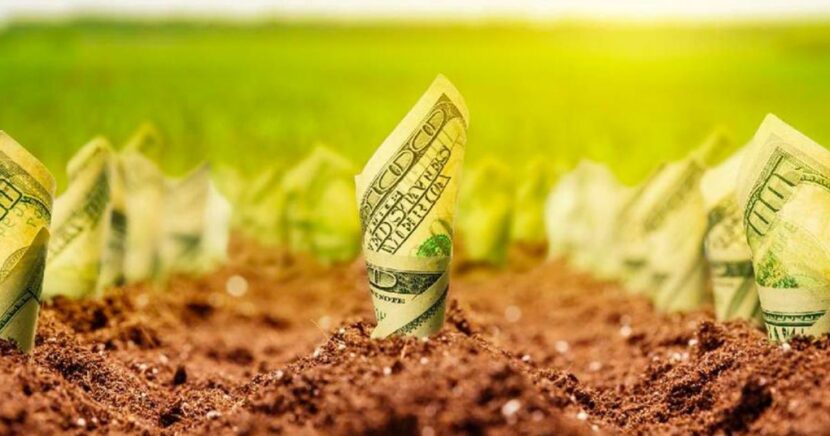 Золотая земля в Чехии, в чем ее секрет?