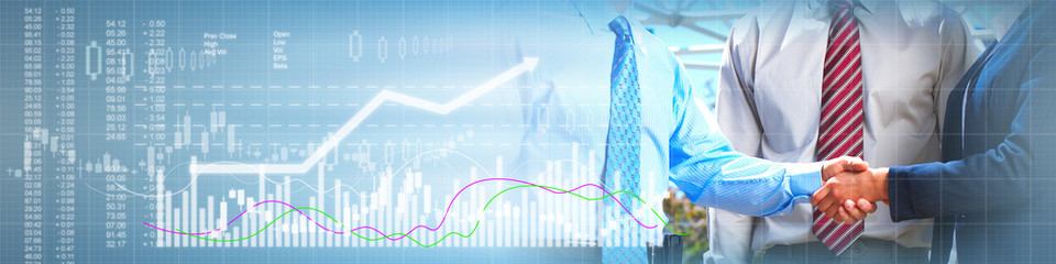 Номинальный директор в Чехии