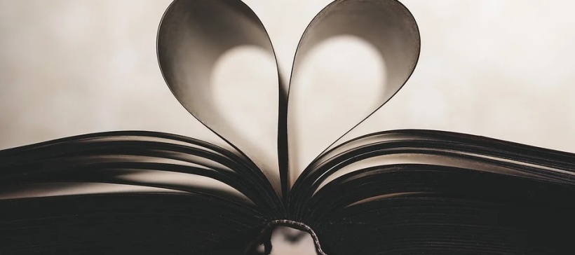 Повелитель негодяев