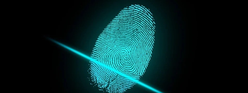 Биометрия, Отпечаток пальца