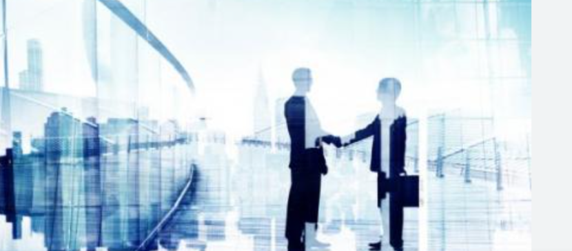 Инвестор, Финансы