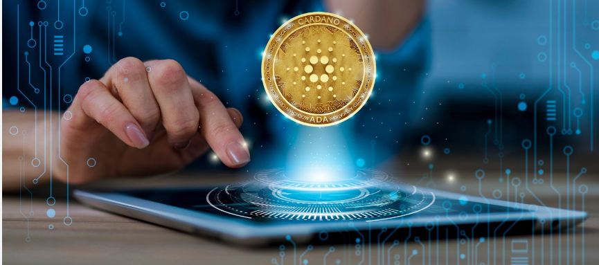 Регистрация фирмы с лицензиями MIP