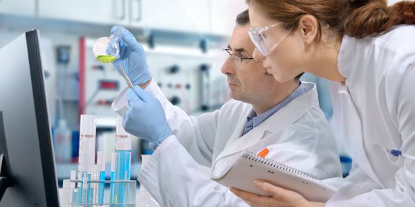 Программа “Возвращение” в Чехии даёт свои первые плоды