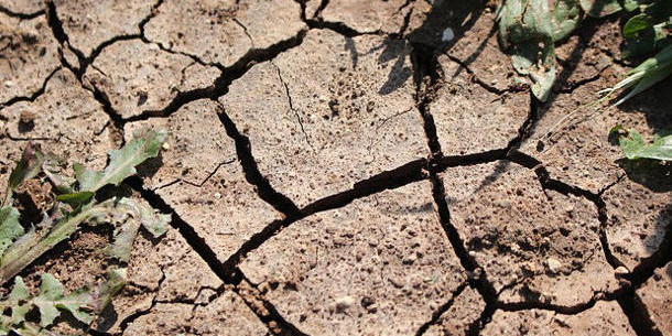 Тарифы на воду в Чехии будут подымать из-за засухи