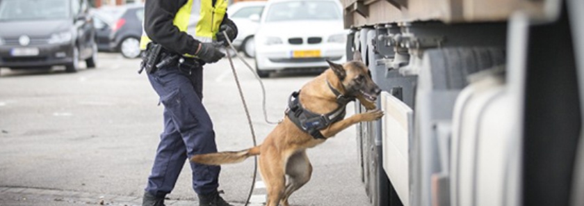 Границы Польши и Австрии со стороны Чехии усилили контроль на территории Шенгенской зоны