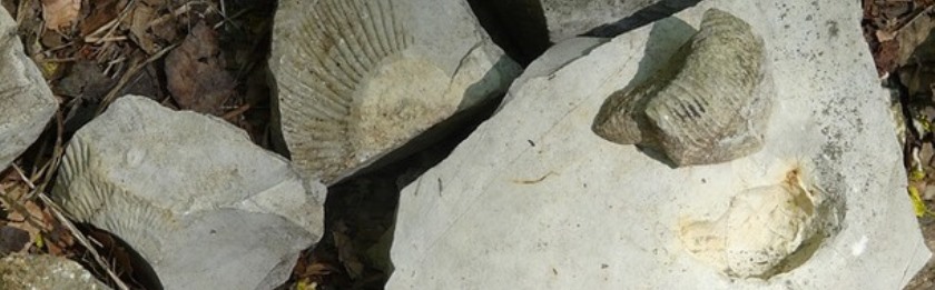 Чехия помогает узнать больше об Антарктиде