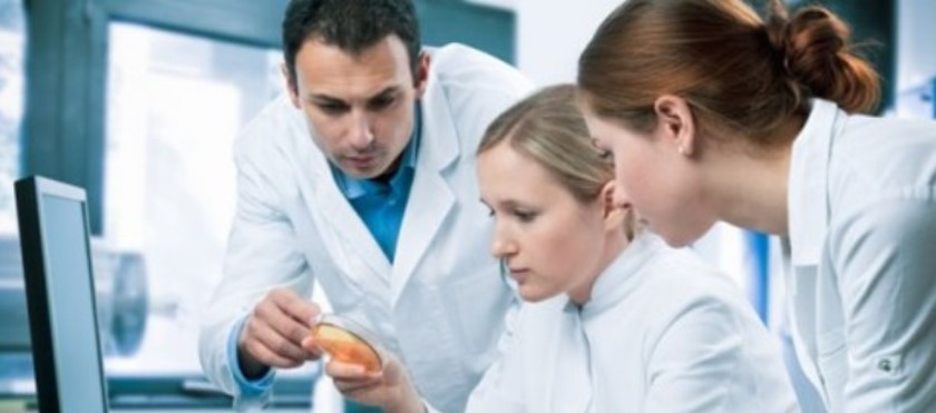 Наиболее перспективные специальности в Чехии