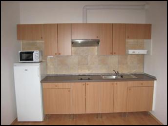 Эксклюзивное предложение по благоустройству квартир в Праге