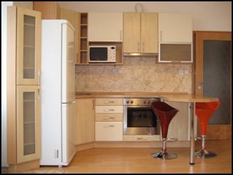 Эксклюзивное предложение по благоустройству квартир в Праге