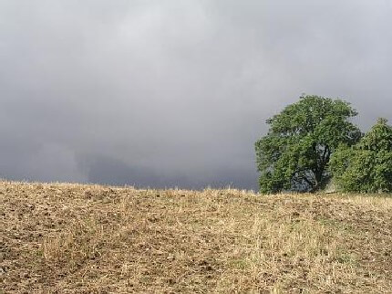 Недвижимость в Чехии Иммиграция в Чехию Образование в Чехии Открытие фирмы в Чехии