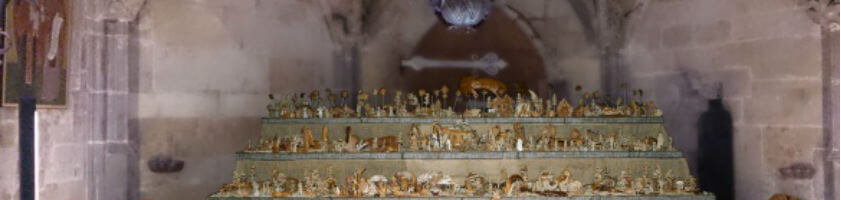 Религиозный институт