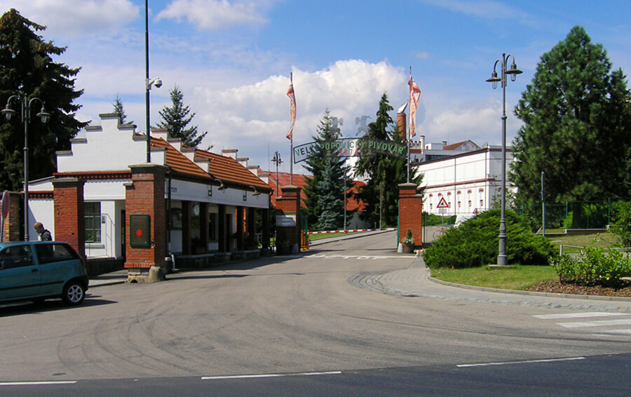 Велкепопопицки козел