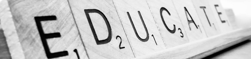 Бесплатное образование в Чехии станет платным