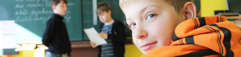 Обучение в языковых школах Чехии