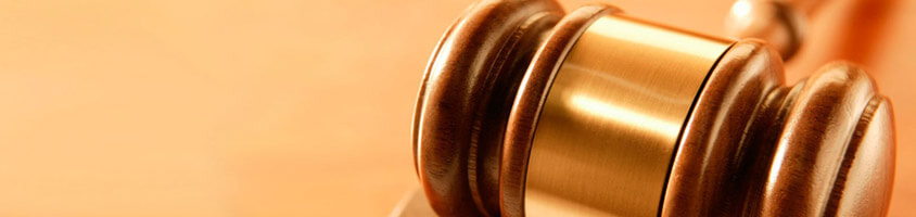 Консультация юриста по шварц-системе в Чехии, в Праге