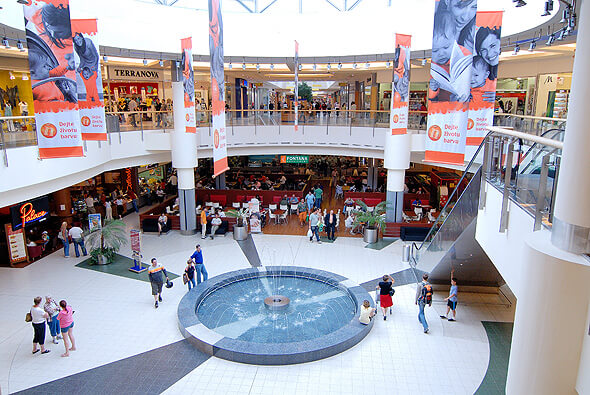 Зима, Студия Летнанские заграды