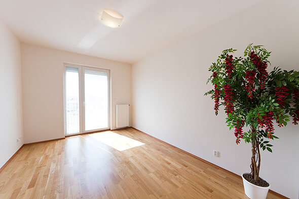 Пол, Комната