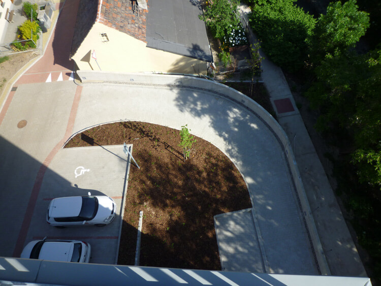 Пальмы, Арка