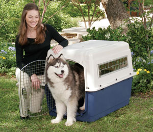 Иммиграция в Чехию на ПМЖ Перевозка животных в Чехию