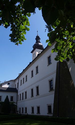 Дом, Особняк