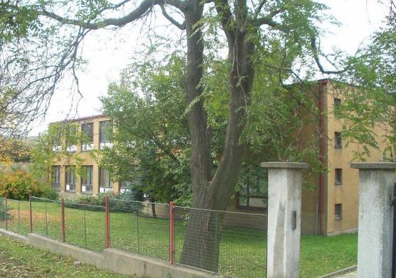 Билина Чехия