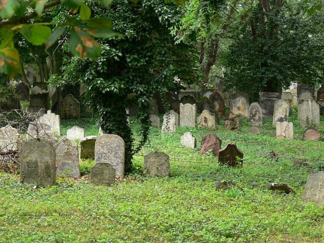 Старое еврейское кладбище в Колине, основанное в 1418 году