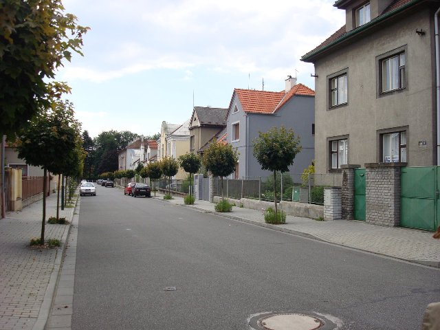 Нимбурк, Эльба