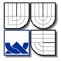 Брненский технологический университет