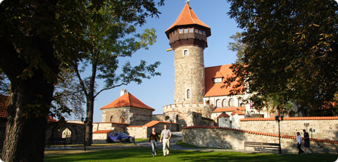 Хневин, Бенедикт Мост