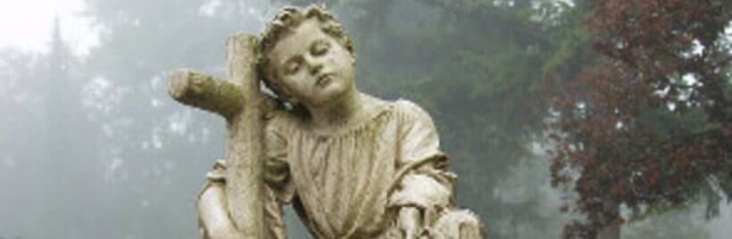 Компания Чехии желает обсудить смерть