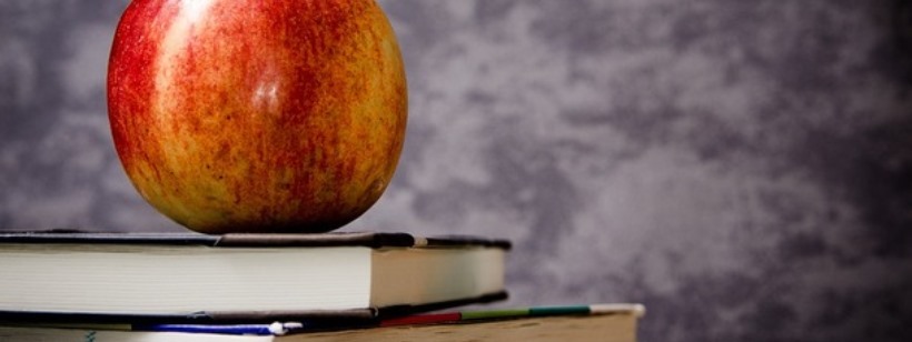 В Чехии дети разбираются в политике