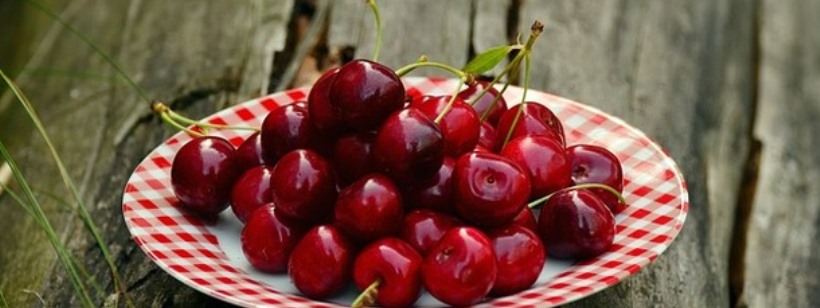 Чехия наиболее привлекательная страна для выращивания черешни
