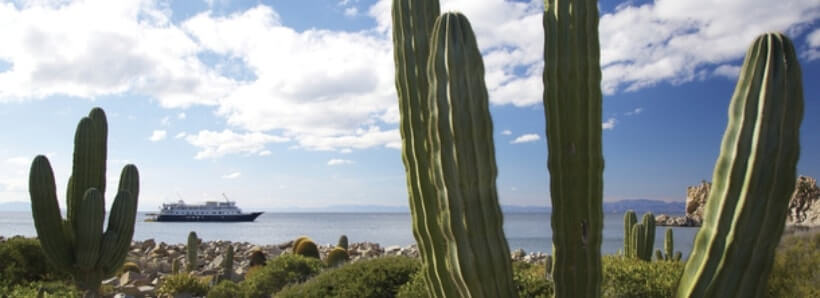 Экспедиция к острову Баха в загадочной Мексике с отправкой из Чехии