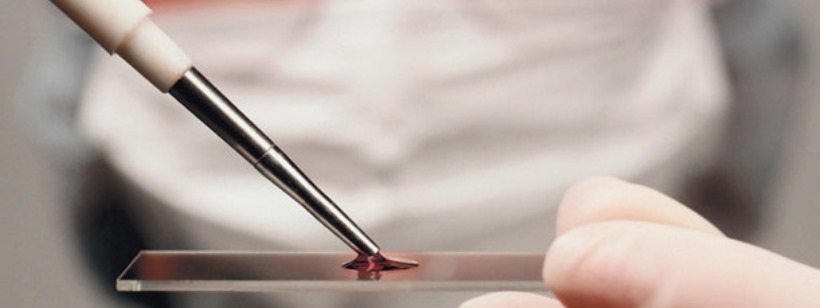 В Чехии ожидают большие перемены в области ЭКО