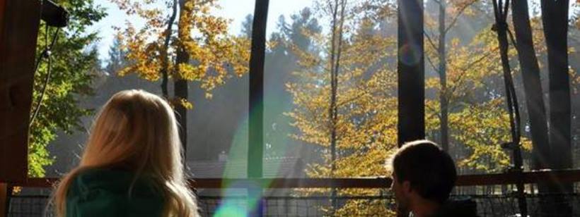 В Чехии предлагают отдохнуть в постройках на деревьях