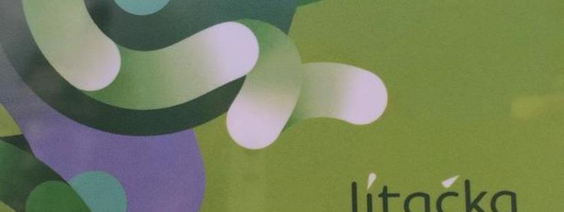 Анонимный проездной в Чехии