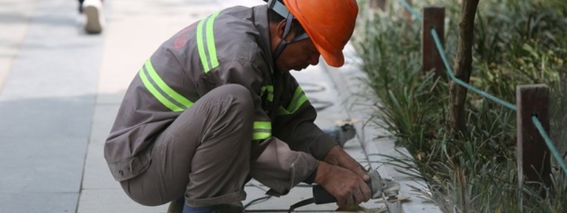 Трудовые мигранты выделяют Чешскую республику