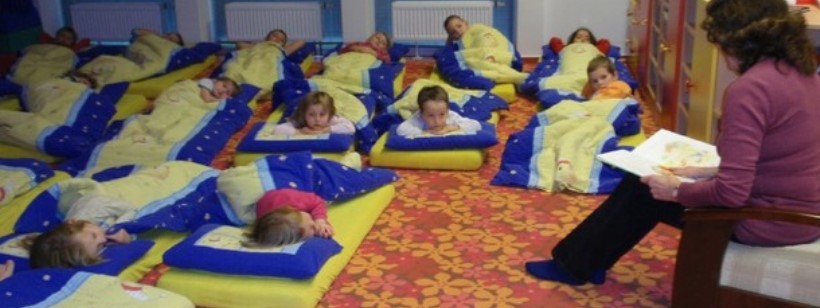 В Чехии предложили провести необычный социальный проект