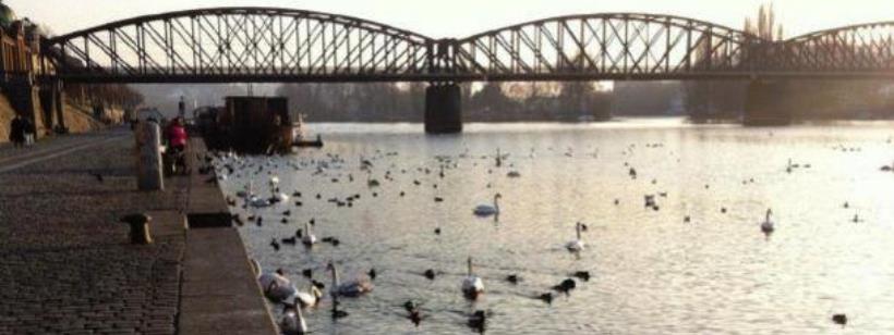 Облагораживание пражских набережных в Чехии