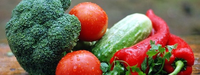 Свои двери в Чехии открыла лаборатория продуктов будущего