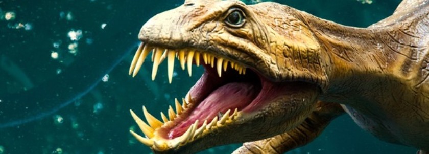 Добро пожаловать в топ-самых интересных и непредсказуемых развлекательных комплексов Чехии